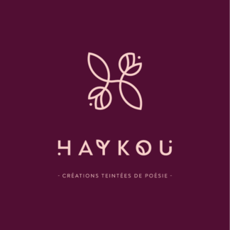 Logo Haykou